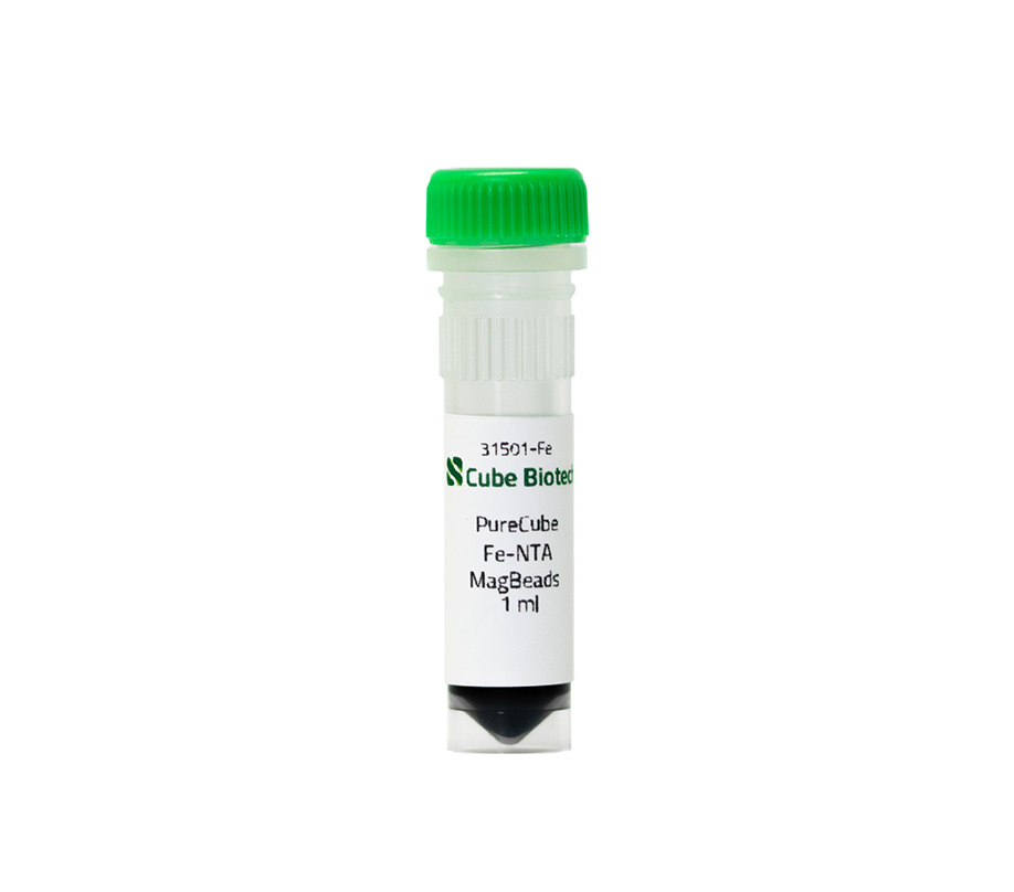 Fe-NTA MagBeads tube 1 ml